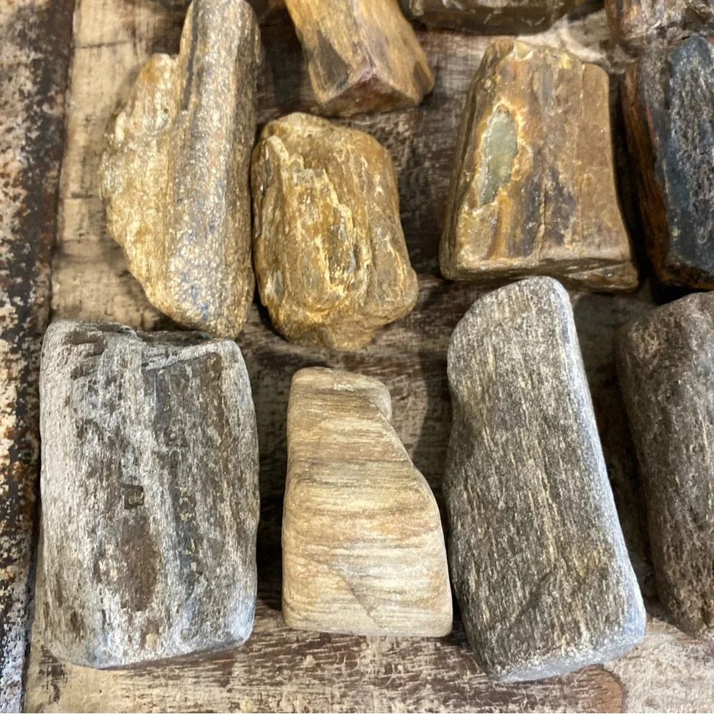 17pcs Petrified Wood 🪵 Rock Collection